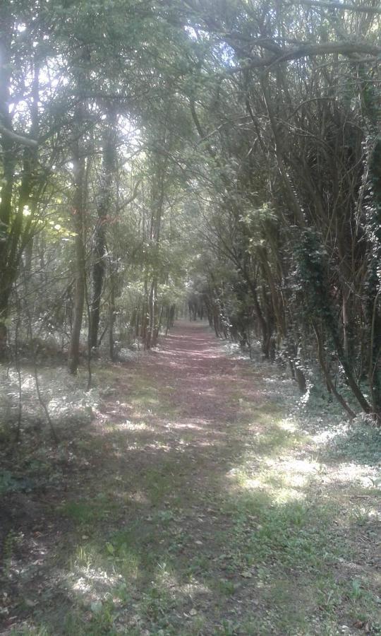 Les Portes Des Froises Saint-Quentin-en-Tourmont Kültér fotó