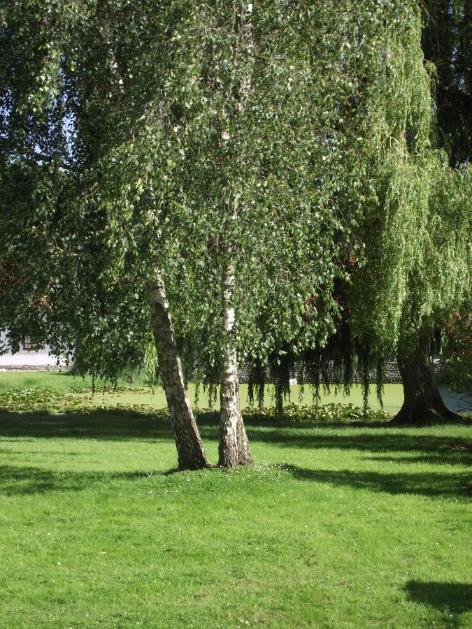 Les Portes Des Froises Saint-Quentin-en-Tourmont Kültér fotó