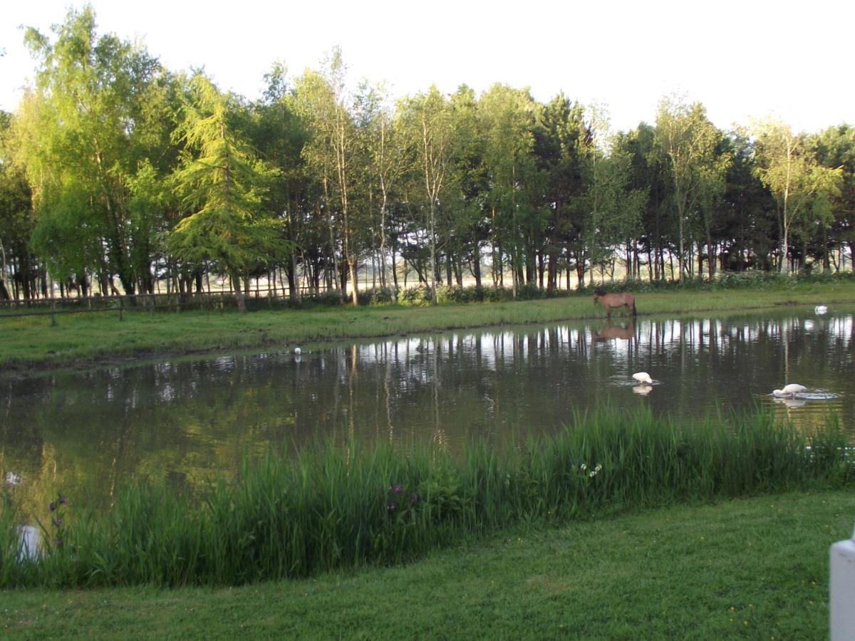 Les Portes Des Froises Saint-Quentin-en-Tourmont Kültér fotó